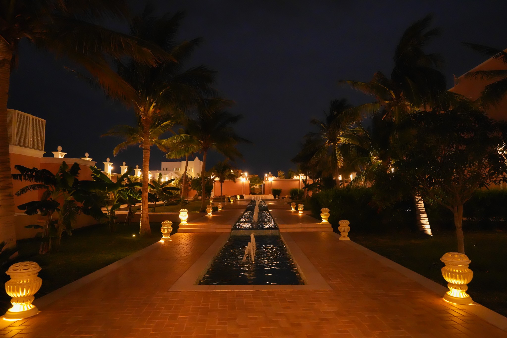 صور فينيوز — 4